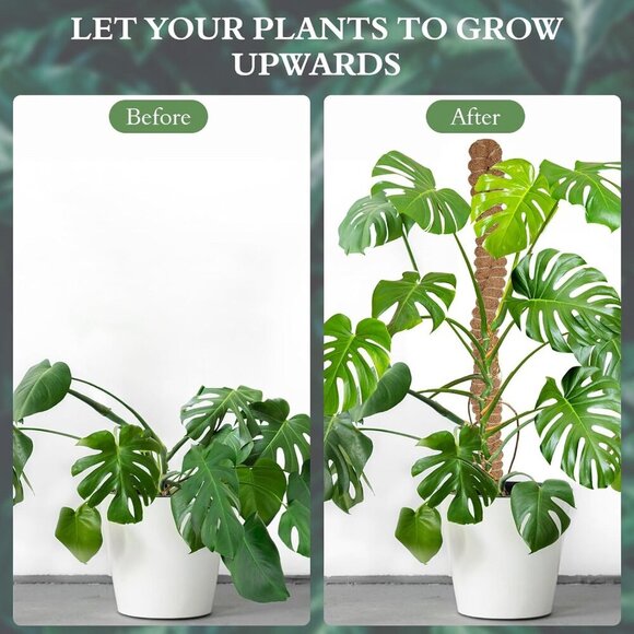 2 Pack 25 Inch Coco Coir Moss Poles for Climbing Indoor Plants - Handmade Plant - Picture 3 of 7